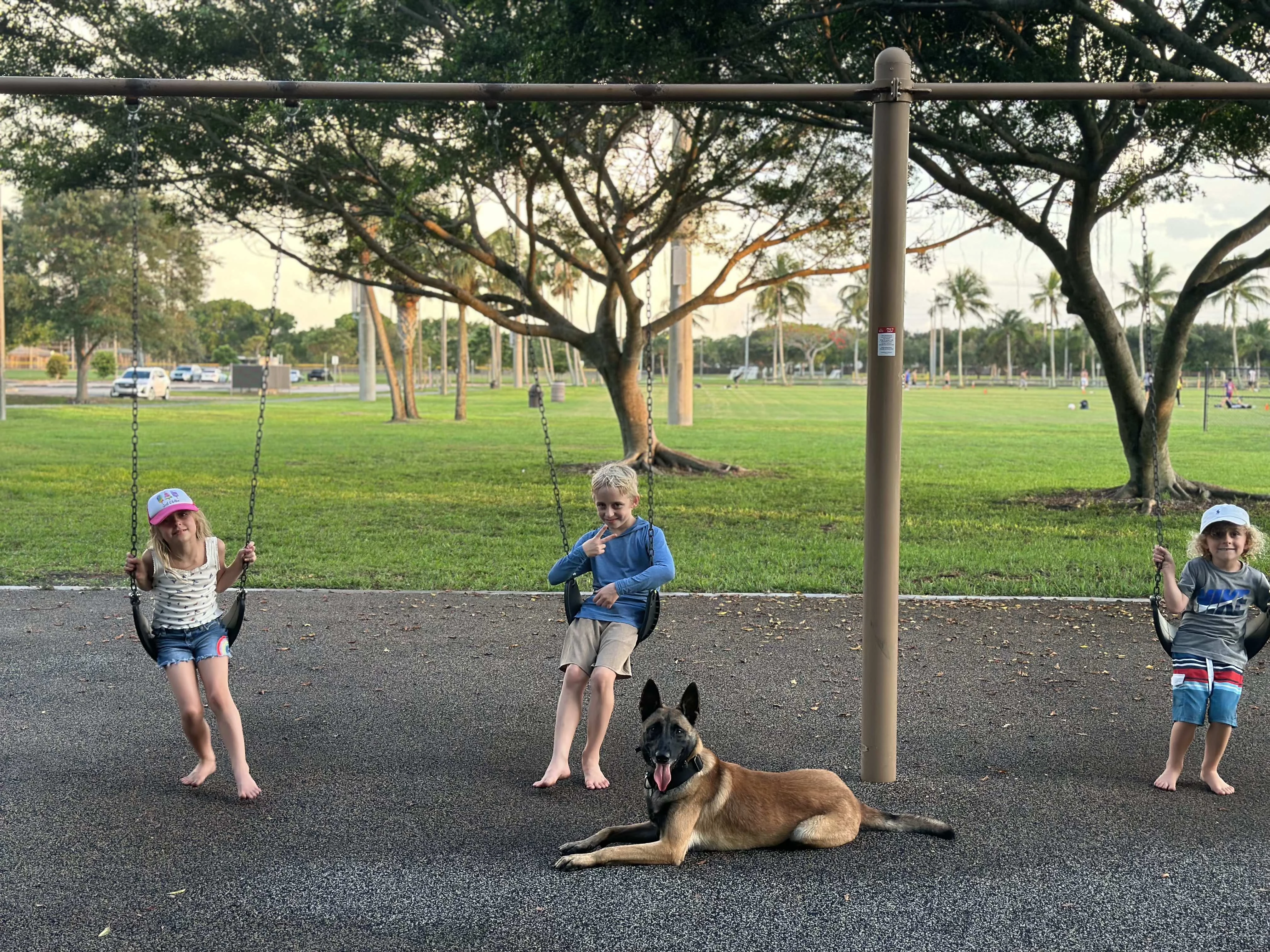 Belgian Malinois with children at playground