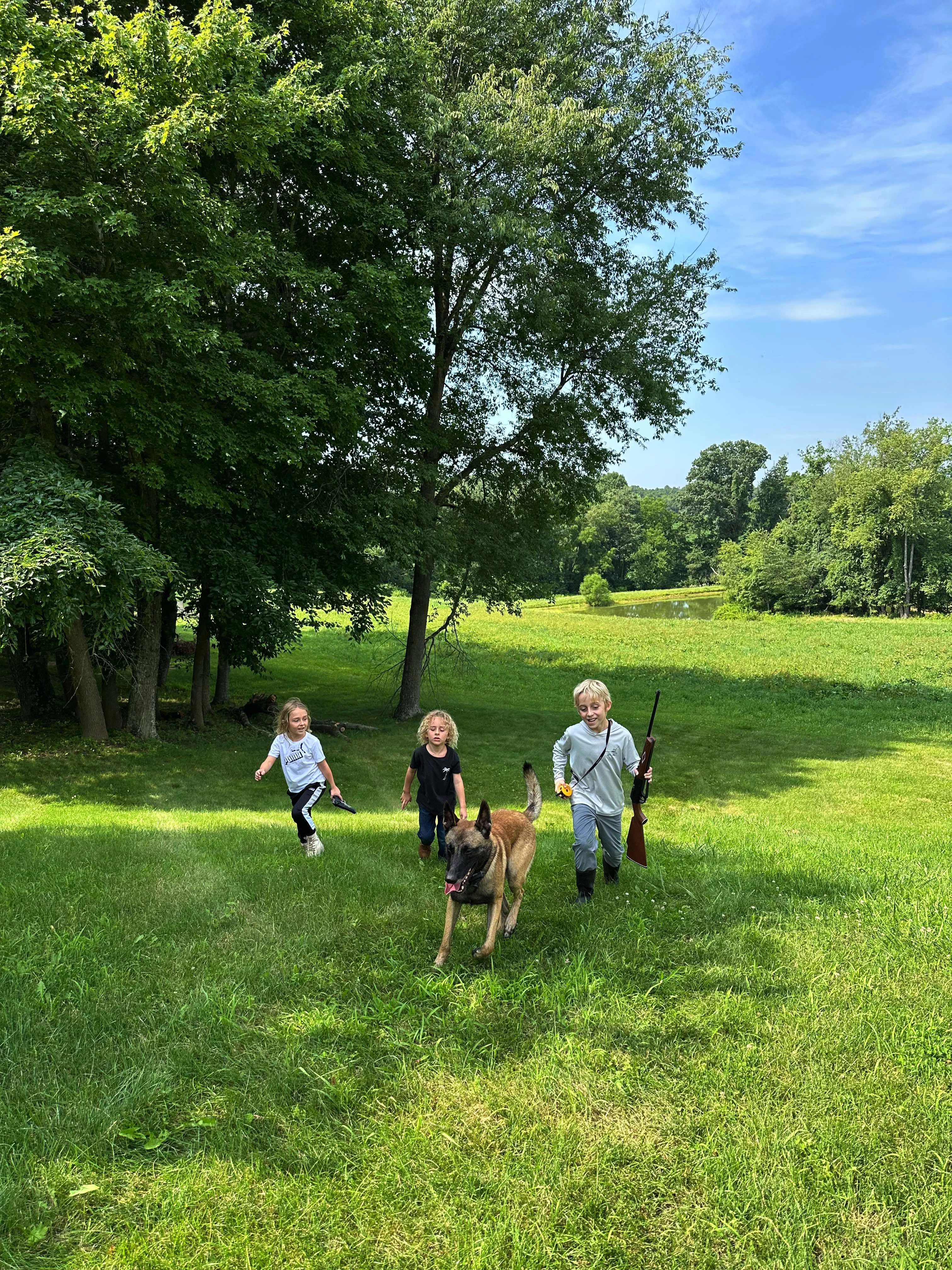 Belgian Malinois with children in field