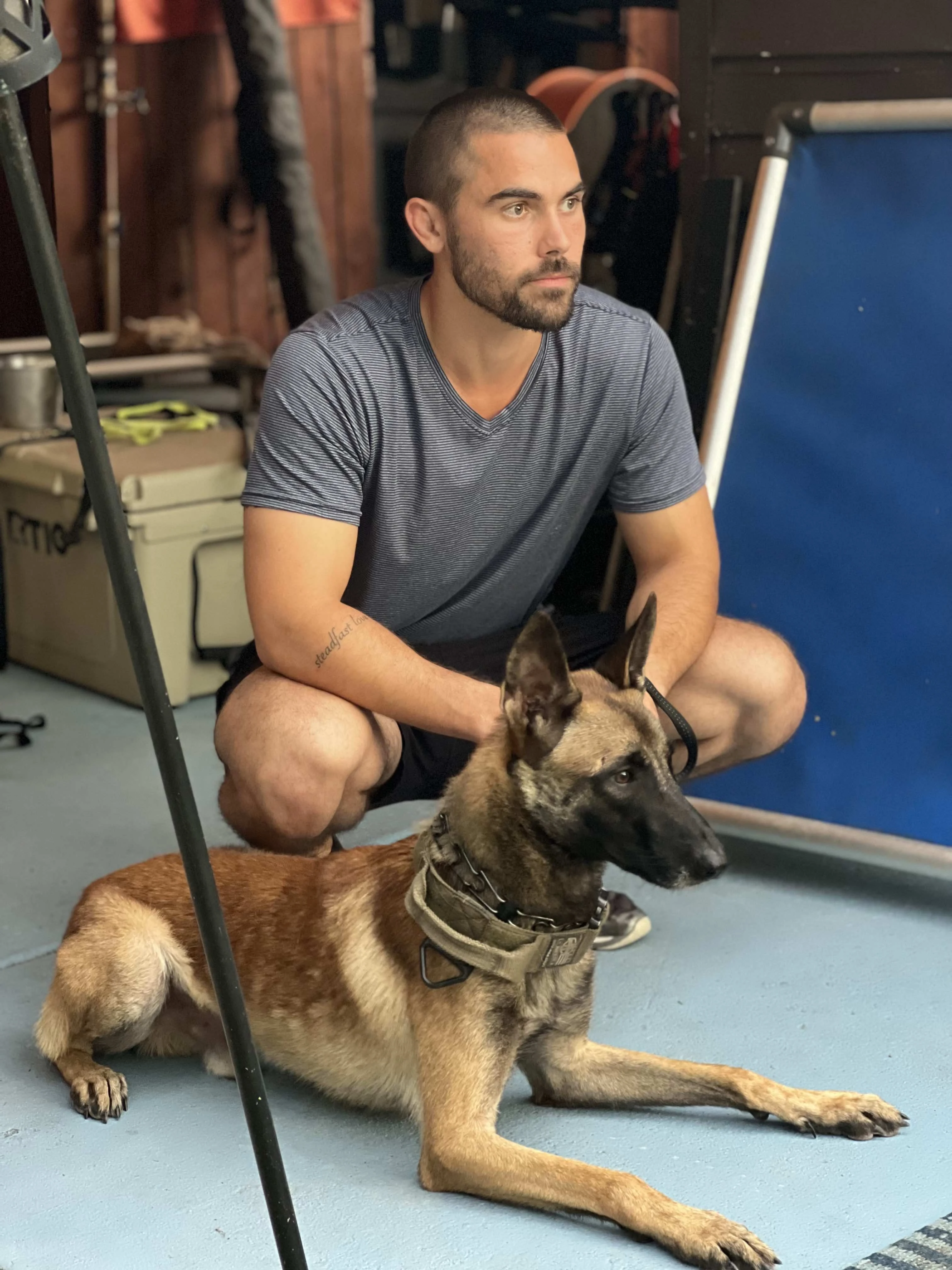 Handler with Belgian Malinois in training