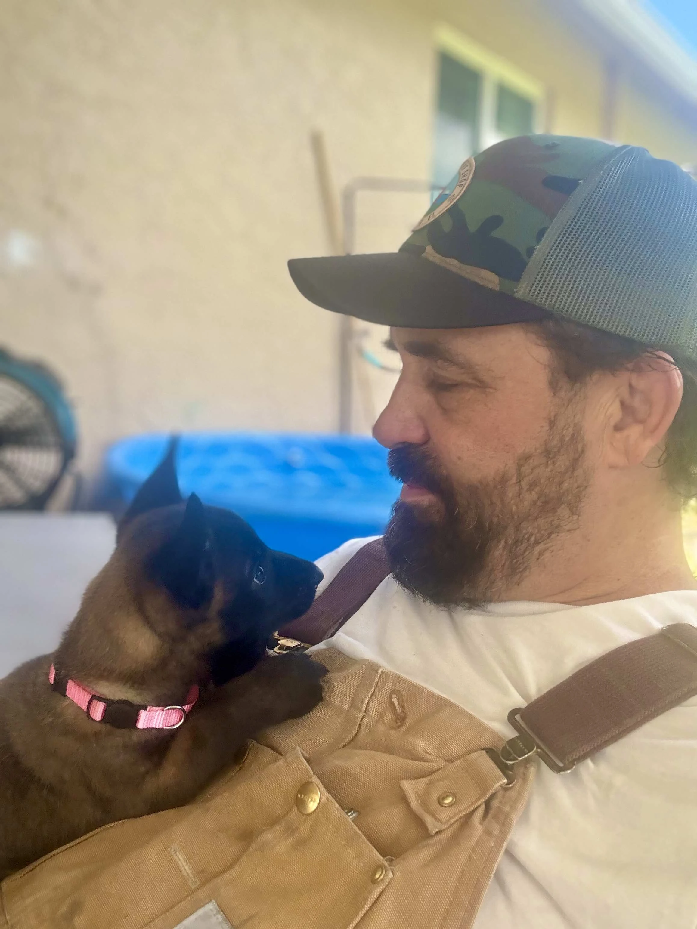 Belgian Malinois puppy with handler
